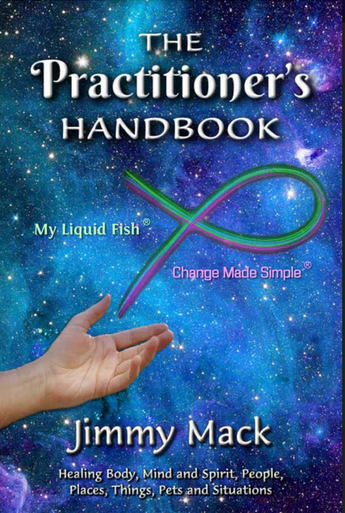 THE PRACTITIONER'S HANDBOOK (2017) - NOT AVAILABLE THROUGH THE SHOP - ONLY included in the Practitioner's Certification Course