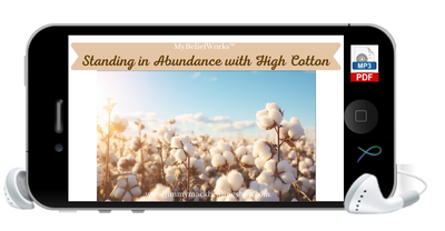 [HIGH COTTON] MyBeliefWorks™ for Standing in Abundance with High Cotton