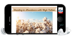 [HIGH COTTON] MyBeliefWorks™ for Standing in Abundance with High Cotton MP3 & PDF