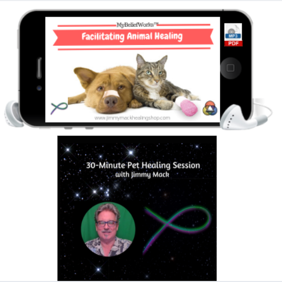 🧭 🎣 [PET HEALING + SESSION] MyBeliefworks for Facilitating Animal Healing MP3/PDF plus 30 minute Pet Healing Session w/Jimmy