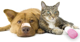 [ANIMAL HEALING] MyBeliefworks for Facilitating Pet & Animal Healing MP3/PDF