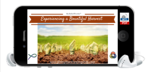 [BOUNTIFUL RICHES] MyBeliefWorks™ for Experiencing a Bountiful Harvest