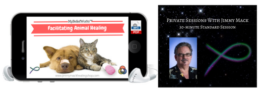 [PET HEALING + SESSION] MyBeliefworks for Facilitating Animal Healing MP3/PDF plus 30 minute Pet Healing Session w/Jimmy